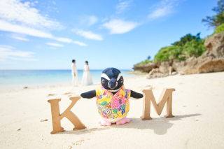 capryフォトウェディング沖縄（キャプリィフォトウェディング沖縄）_アドバイス写真