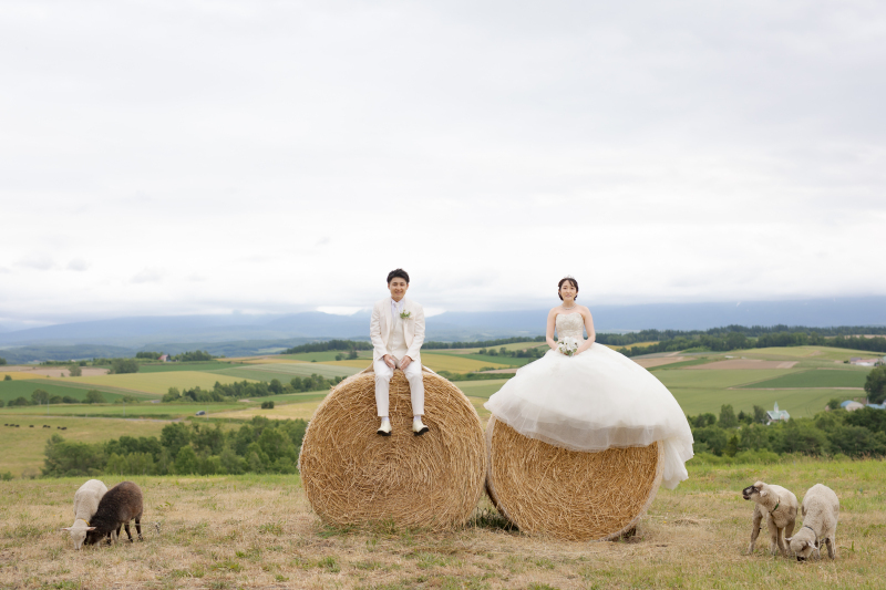 丘のうえ（Hills Studio）_投稿写真