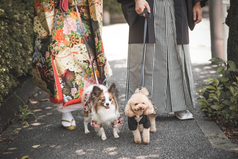 studio FTS_投稿写真