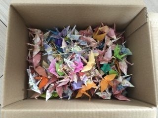 フォトスタジオ＆メイクFATA _アドバイス写真