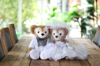 メゾンフォトスタジオ_アドバイス写真