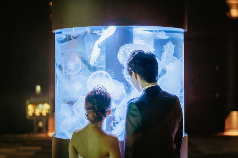 ウエディングドレス クロエ_投稿写真