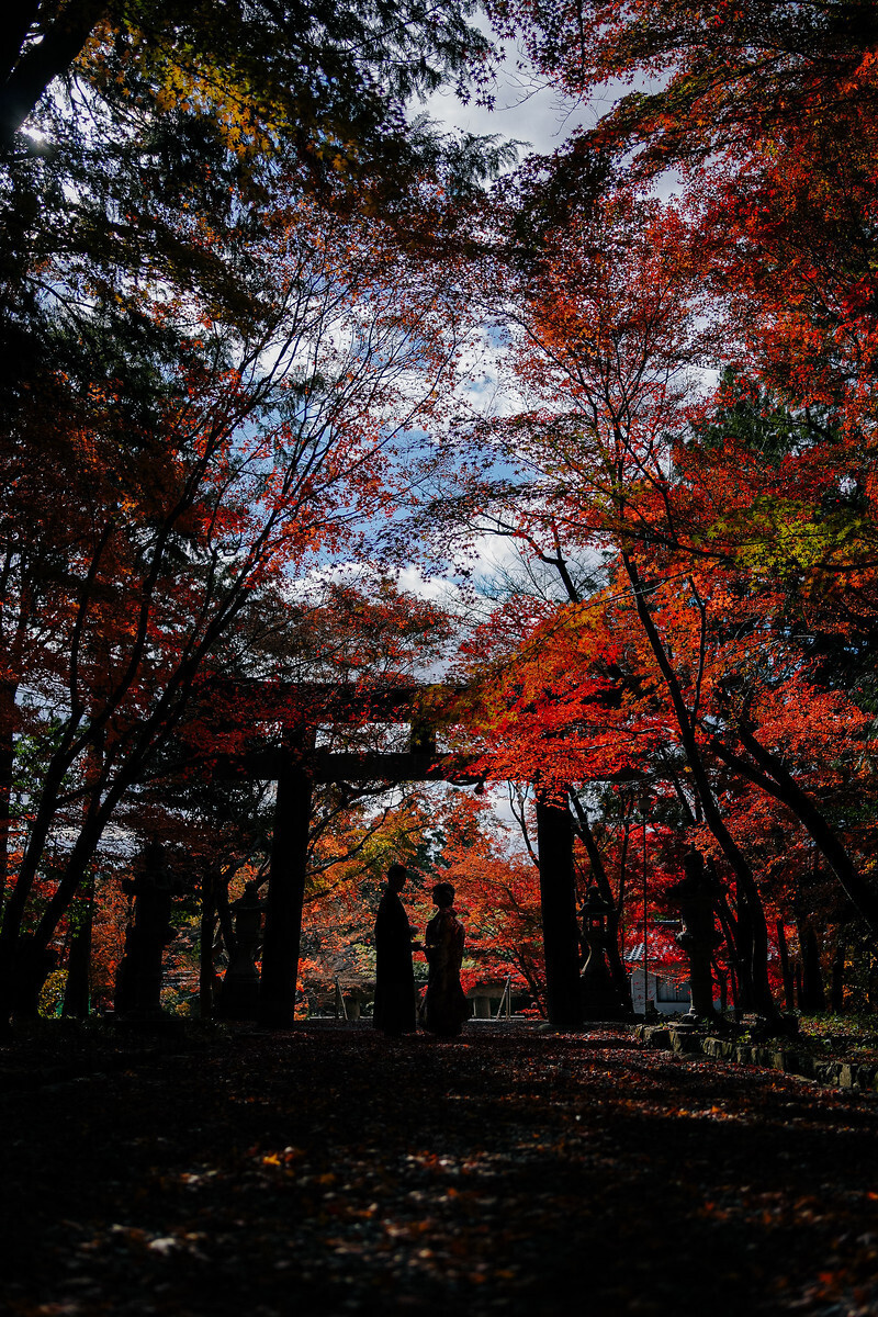 写真の雰囲気がお洒落！光の使い方が素晴らしい！_28543_投稿写真_1