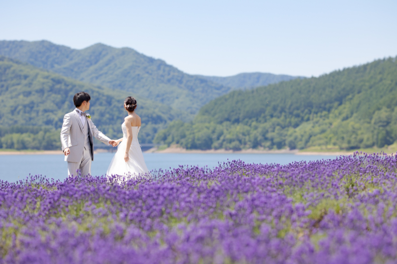 丘のうえ（Hills Studio）_投稿写真