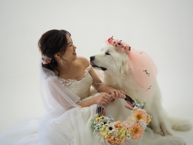 阿部写真館　大阪本町靭公園前店_投稿写真