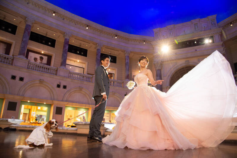 小さな結婚式　お台場店_投稿写真