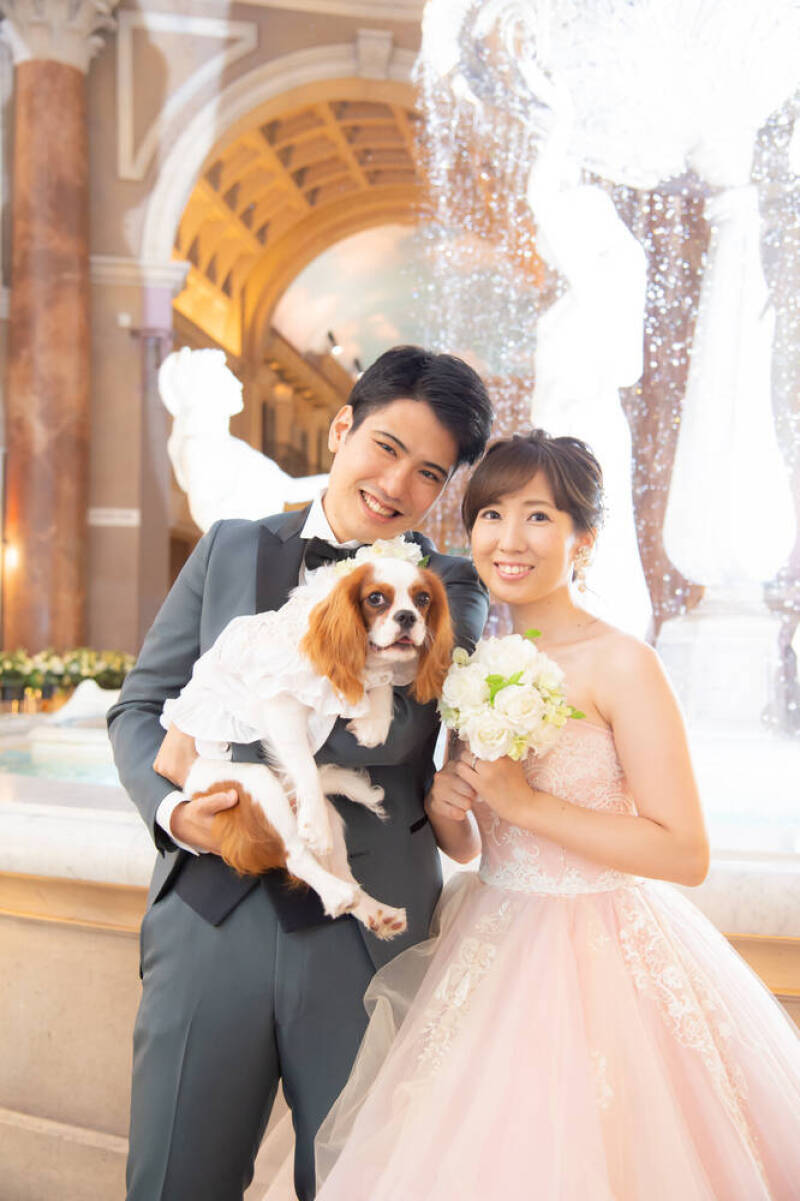 小さな結婚式　お台場店_投稿写真