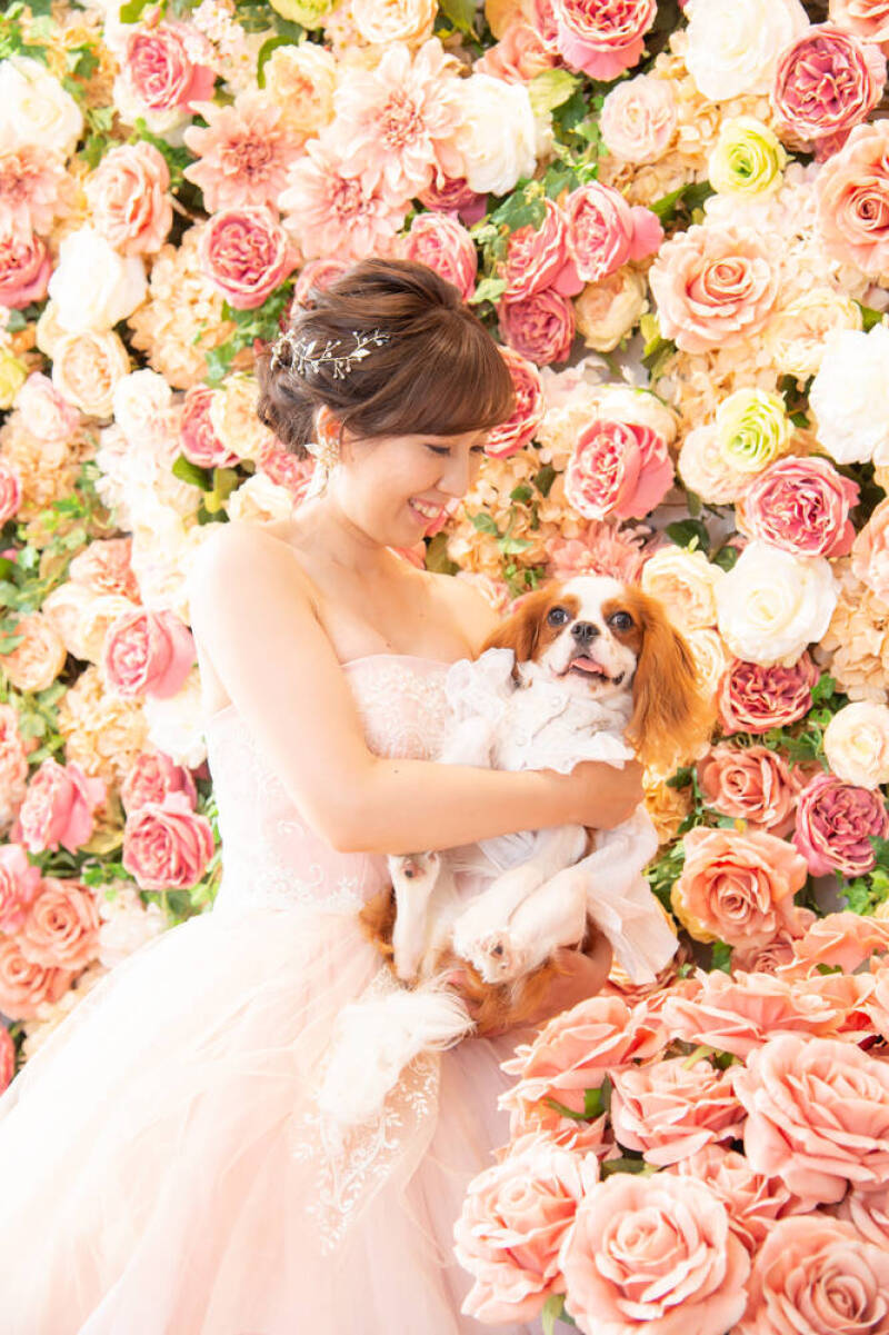 小さな結婚式　お台場店_投稿写真