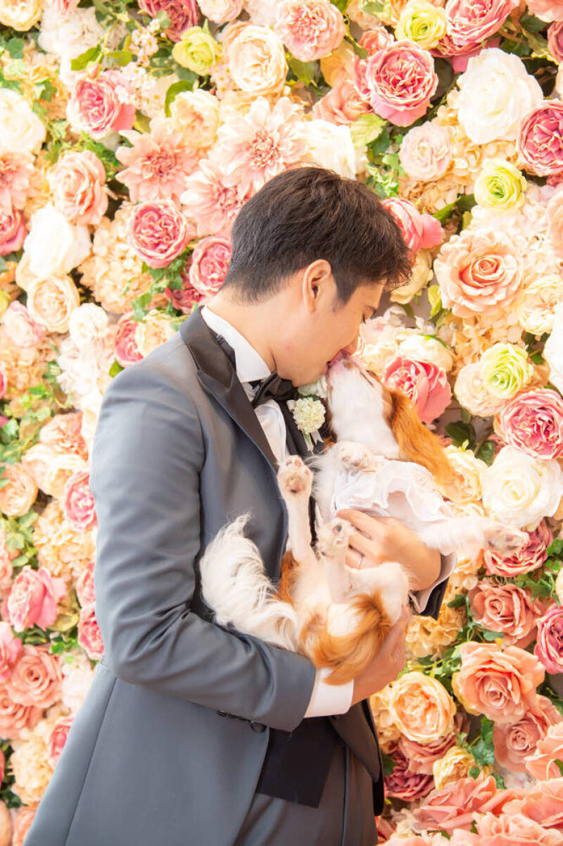 小さな結婚式　お台場店_投稿写真