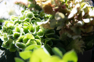 ラヴィファクトリー 金沢店_アドバイス写真