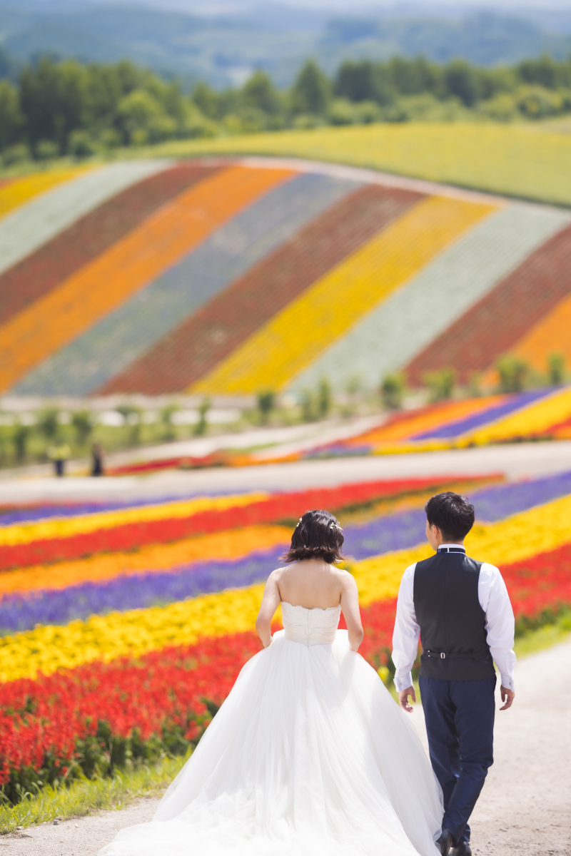 丘のうえ（Hills Studio）_投稿写真