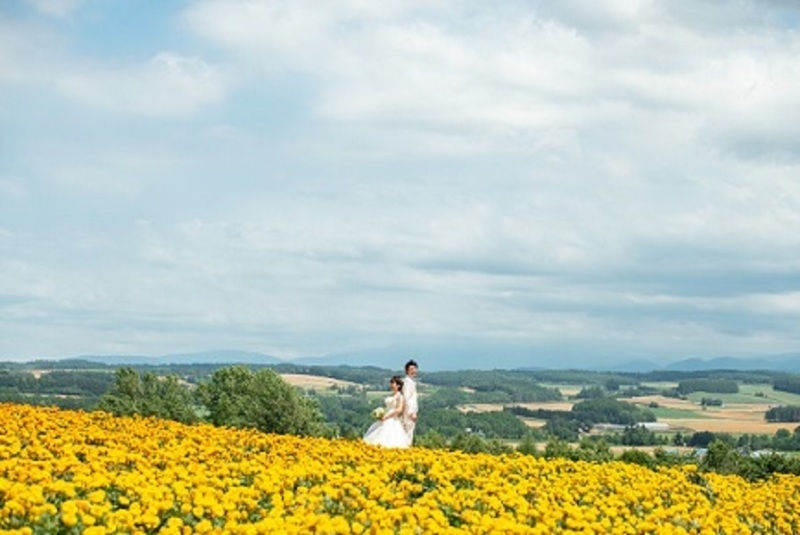 丘のうえ（Hills Studio）_投稿写真