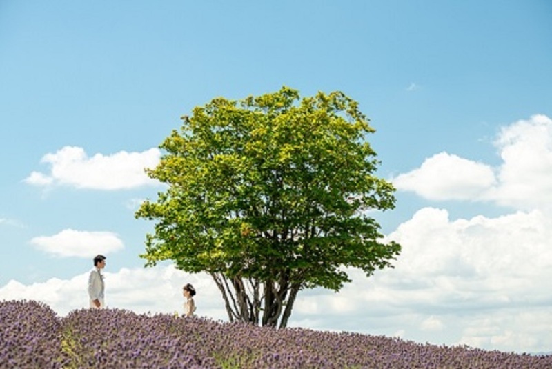 丘のうえ（Hills Studio）_投稿写真