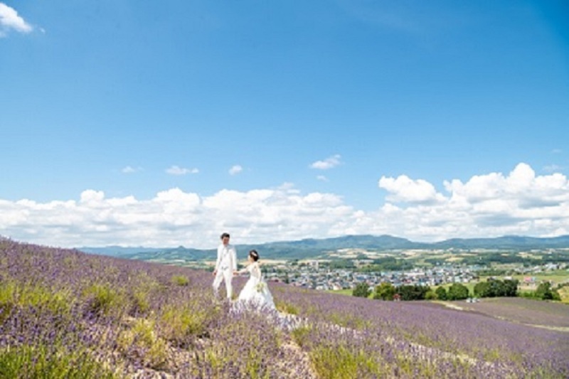 丘のうえ（Hills Studio）_投稿写真