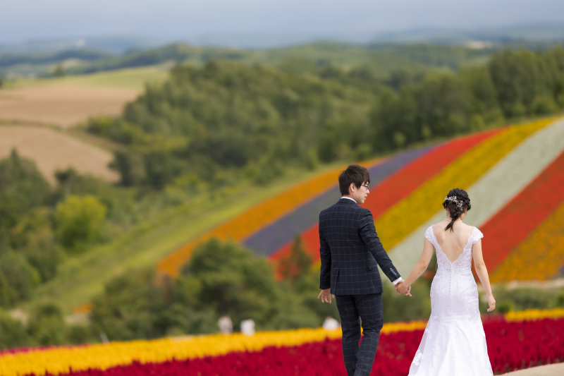 丘のうえ（Hills Studio）_投稿写真