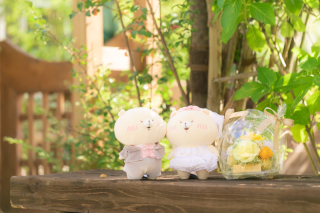 スタジオコンフェッティ_アドバイス写真