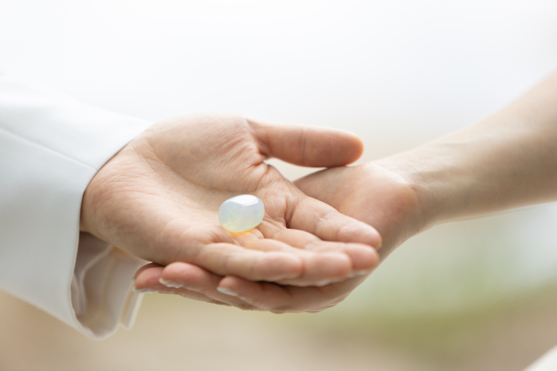 丘のうえ（Hills Studio）_投稿写真