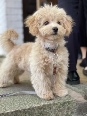 BLANC.THEE フォトスタジオ_アドバイス写真