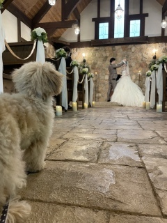 BLANC.THEE フォトスタジオ_アドバイス写真