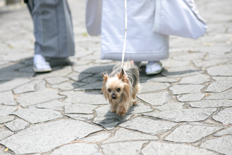 ラヴィファクトリー福岡店_投稿写真
