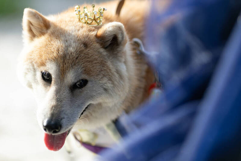 ラヴィファクトリー松山店_投稿写真
