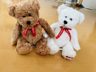 ル・トレフル produced by スタジオエス_アドバイス写真