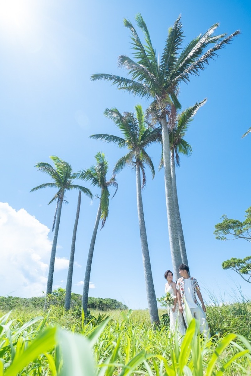 photo studio ouchi_投稿写真