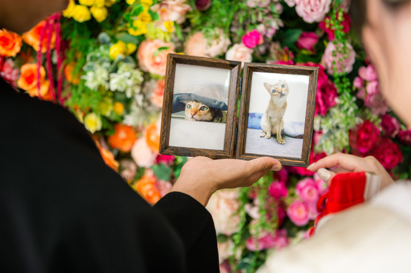 ハルウェディング_投稿写真