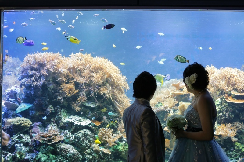 ア・ラ・モードパレ&ザ・リゾート_投稿写真