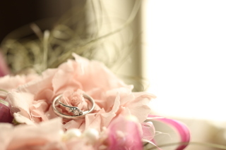 studio LUMINOUS お台場_アドバイス写真