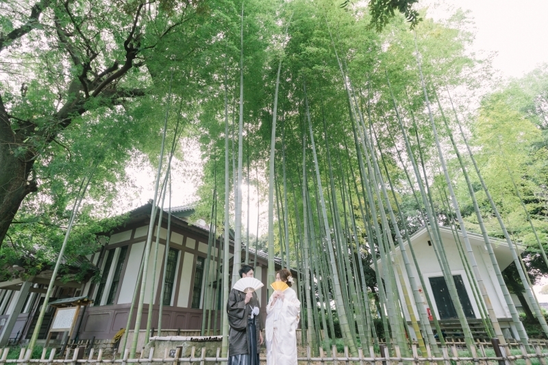 可愛いスタジオと沢山のドレス！_18305_投稿写真_2