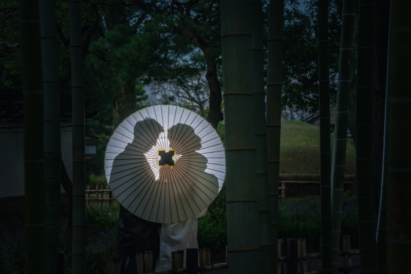 可愛いスタジオと沢山のドレス！_18305_投稿写真_3