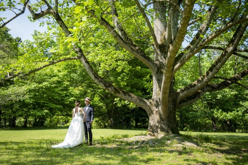 Warauphotoworks_投稿写真