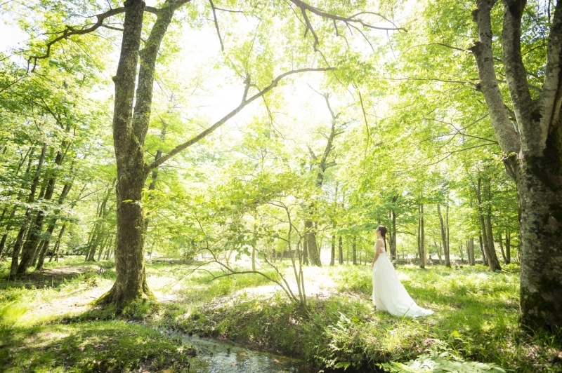 Warauphotoworks_投稿写真