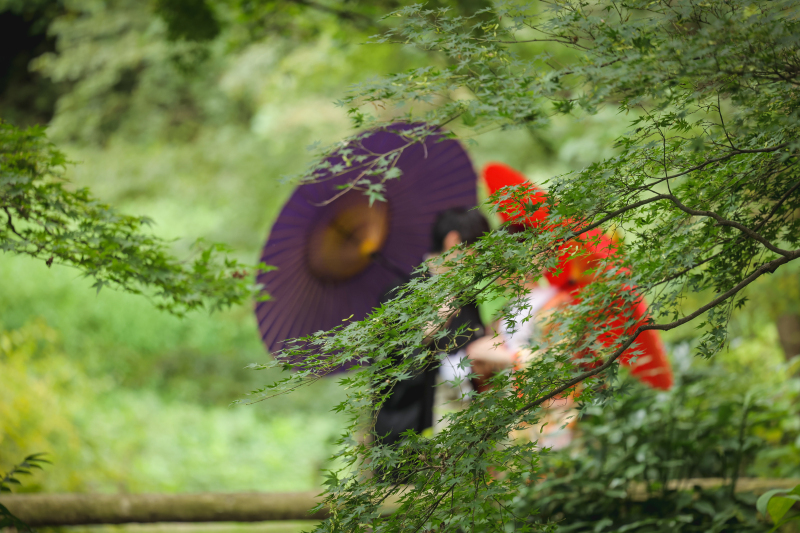 華雅苑 横浜店_投稿写真