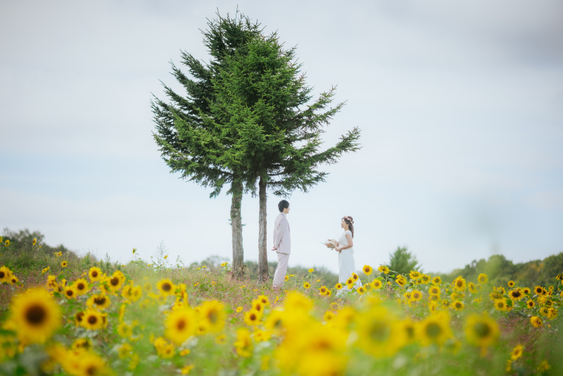 ウエディングドレス クロエ_投稿写真
