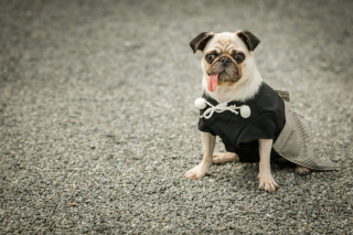 neeyU◇横浜元町ブライダルサロン_アドバイス写真