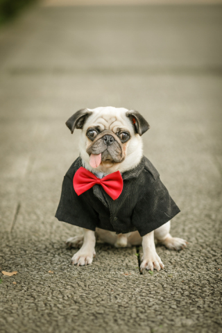 neeyU◇横浜元町ブライダルサロン_アドバイス写真