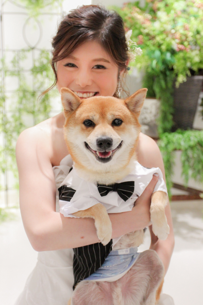 Dream-Wall 小山_投稿写真