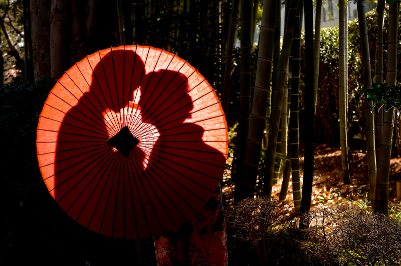 華雅苑　阿佐ヶ谷店_投稿写真