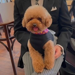 ザ・ジョージアンテラス_アドバイス写真