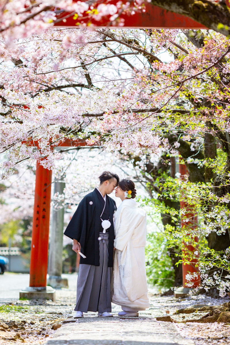 古都photo_投稿写真