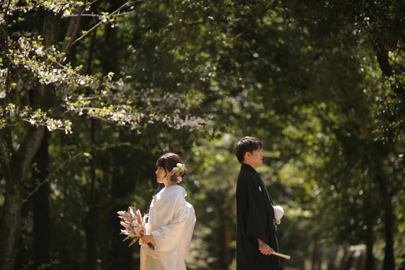 桜の時期に、4ヶ所ロケーション1日で撮影して頂けました！_18906_投稿写真_2