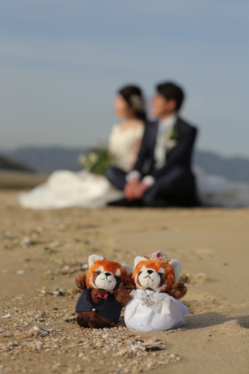 フォーカスワン【営業終了】_投稿写真