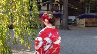 東京和装結婚写真【大國魂神社結婚式場】_アドバイス写真