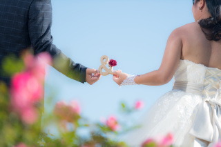 ル・トレフル produced by スタジオエス_アドバイス写真