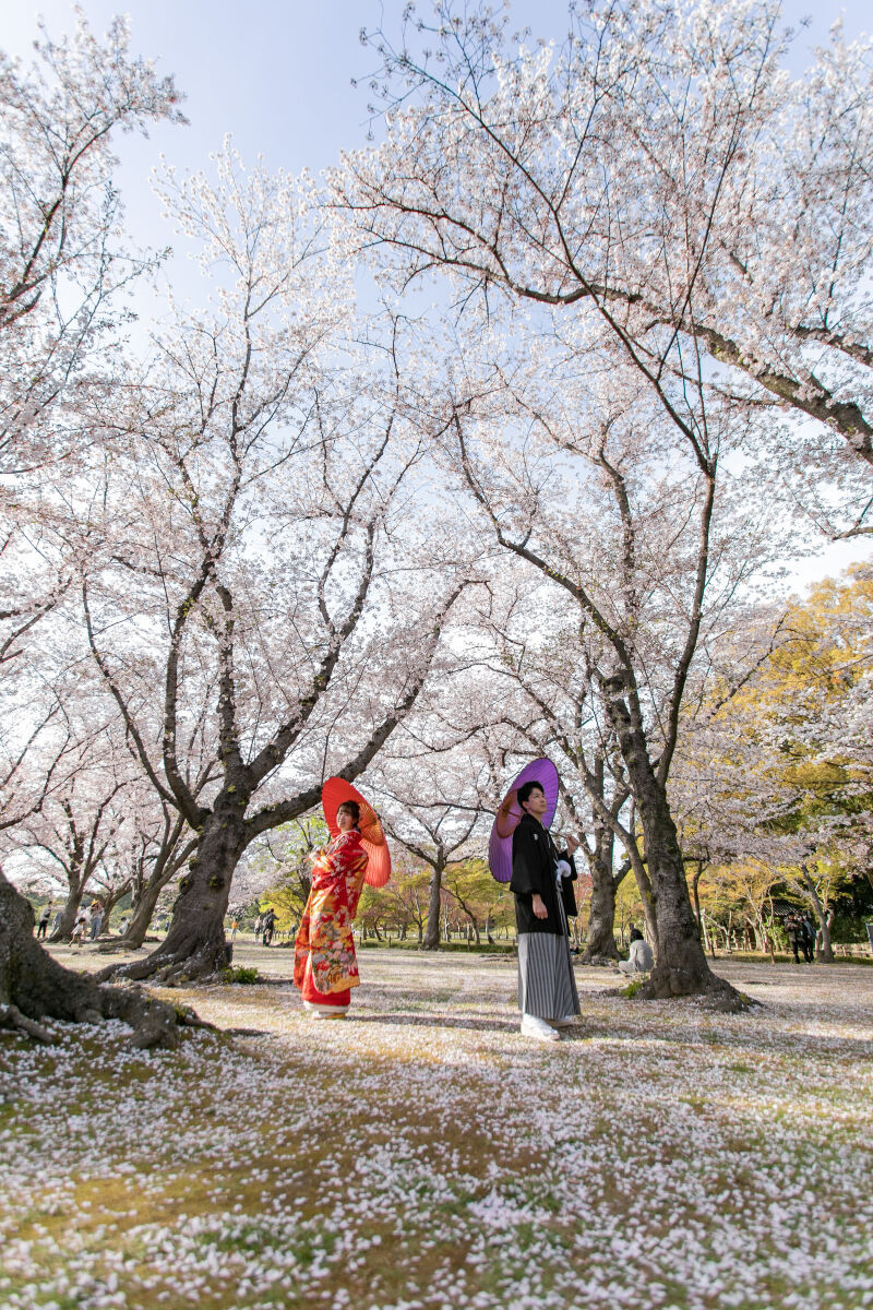 早割がお得です！_19295_投稿写真_1