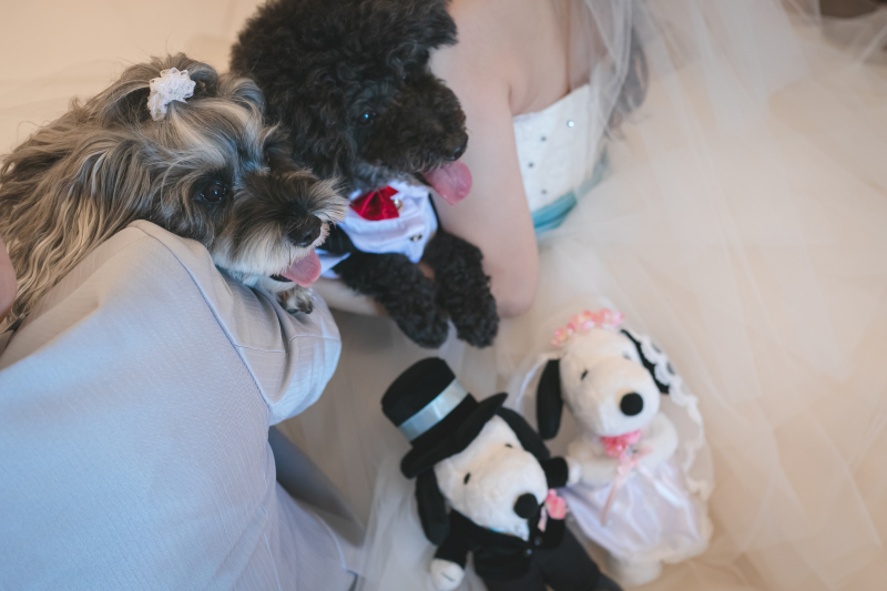 スタッフの対応も大満足◎素敵な写真が撮れました。_19323_投稿写真_1