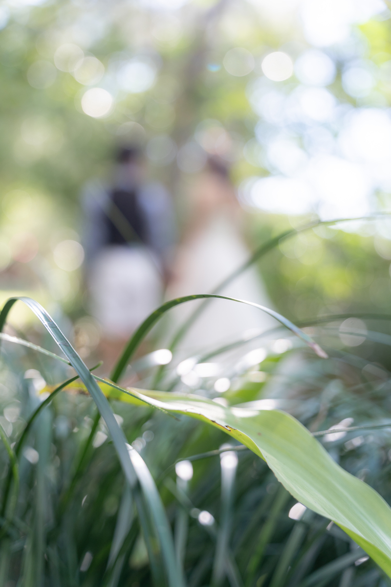 capryフォトウェディング沖縄（キャプリィフォトウェディング沖縄）_投稿写真