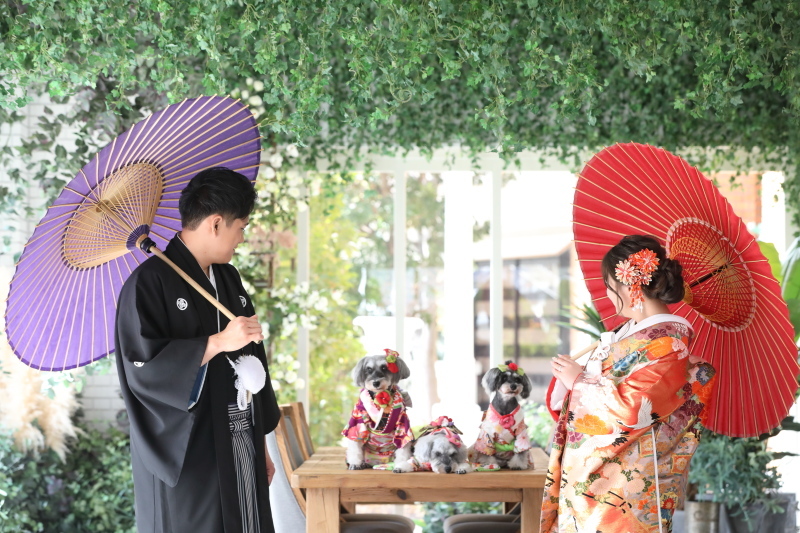 メゾンフォトスタジオ_投稿写真